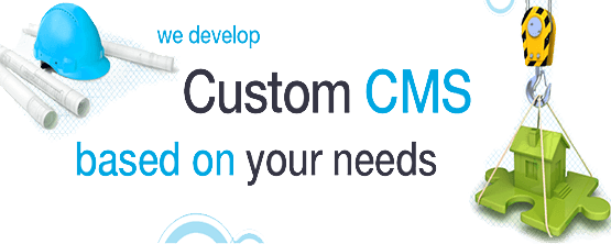 Custom CMS development